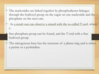 • The nucleotides are linked together by phosphodiester linkages
through the hydroxyl group on the sugar on one nucleotide and the
phosphate on the next one.
• As a result one can observe a strand with the so-called 5'-end, where
a
• free phosphate group can be found, and the 3'-end with a free
hydroxyl group.
• The nitrogenous base has the structure of a planar ring and is either
a purine or a pyrimidine.
 