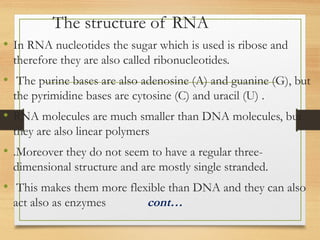 The structure of RNA
• In RNA nucleotides the sugar which is used is ribose and
therefore they are also called ribonucleotides.
• The purine bases are also adenosine (A) and guanine (G), but
the pyrimidine bases are cytosine (C) and uracil (U) .
• RNA molecules are much smaller than DNA molecules, but
they are also linear polymers
• .Moreover they do not seem to have a regular three-
dimensional structure and are mostly single stranded.
• This makes them more flexible than DNA and they can also
act also as enzymes cont…
 