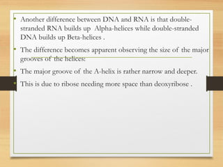 • Another difference between DNA and RNA is that double-
stranded RNA builds up Alpha-helices while double-stranded
DNA builds up Beta-helices .
• The difference becomes apparent observing the size of the major
grooves of the helices:
• The major groove of the A-helix is rather narrow and deeper.
• This is due to ribose needing more space than deoxyribose .
 