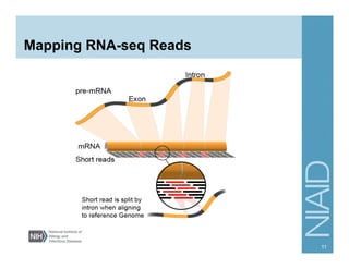 Mapping RNA-seq Reads
11
 
