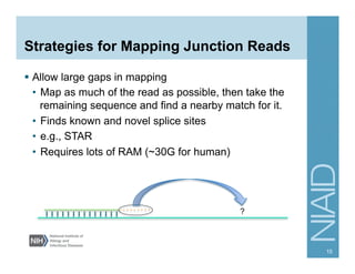 Strategies for Mapping Junction Reads
§  Allow large gaps in mapping
•  Map as much of the read as possible, then take the
remaining sequence and find a nearby match for it.
•  Finds known and novel splice sites
•  e.g., STAR
•  Requires lots of RAM (~30G for human)
15
?
 