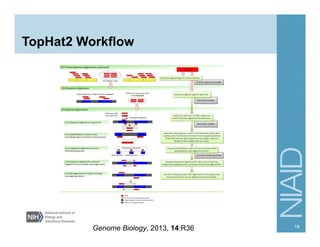 TopHat2 Workflow
19
Genome Biology, 2013, 14:R36
 