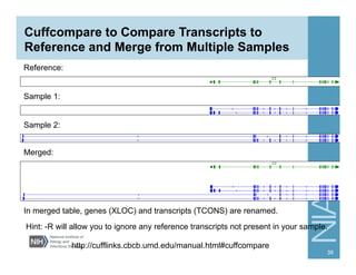 Cuffcompare to Compare Transcripts to
Reference and Merge from Multiple Samples
39
Reference:
Sample 1:
Sample 2:
Merged:
In merged table, genes (XLOC) and transcripts (TCONS) are renamed.
Hint: -R will allow you to ignore any reference transcripts not present in your sample.
http://cufflinks.cbcb.umd.edu/manual.html#cuffcompare
 