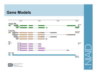 Gene Models
47
 