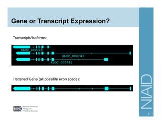 Gene or Transcript Expression?
57
Transcripts/Isoforms:
Flattened Gene (all possible exon space):
 