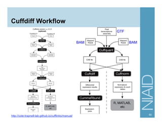 Cuffdiff Workflow
60
http://cole-trapnell-lab.github.io/cufflinks/manual/
BAM BAM
GTF
 