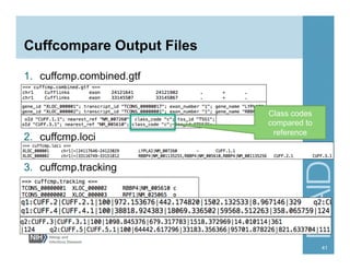 RNA-Seq | PDF