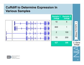 Cuffdiff Beta RNA-Seq | PDF