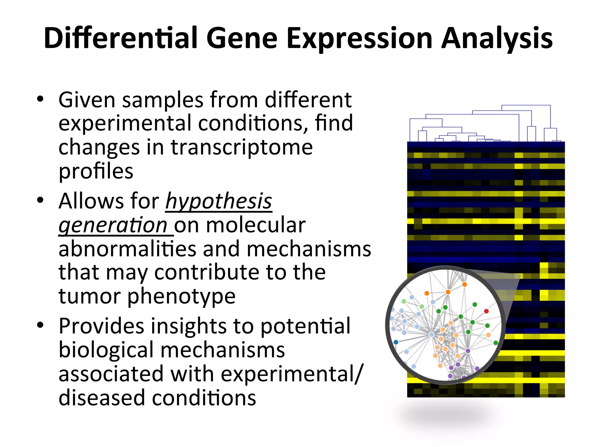 DiﬀerenSal	
  Gene	
  Expression	
  Analysis	
  
•  Given	
  samples	
  from	
  diﬀerent	
  
experimental	
  condiIons,	
  ﬁnd	
  
changes	
  in	
  transcriptome	
  
proﬁles	
  
•  Allows	
  for	
  hypothesis	
  
genera0on	
  on	
  molecular	
  
abnormaliIes	
  and	
  mechanisms	
  
that	
  may	
  contribute	
  to	
  the	
  
tumor	
  phenotype	
  
•  Provides	
  insights	
  to	
  potenIal	
  
biological	
  mechanisms	
  
associated	
  with	
  experimental/
diseased	
  condiIons	
  	
  
 
