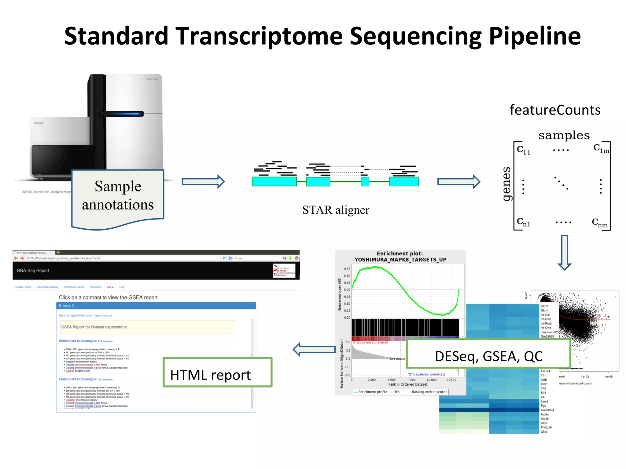 Sample
annotations STAR aligner
featureCounts	
  
DESeq,	
  GSEA,	
  QC	
  
HTML	
  report	
  
Standard	
  Transcriptome	
  Sequencing	
  Pipeline	
  
 