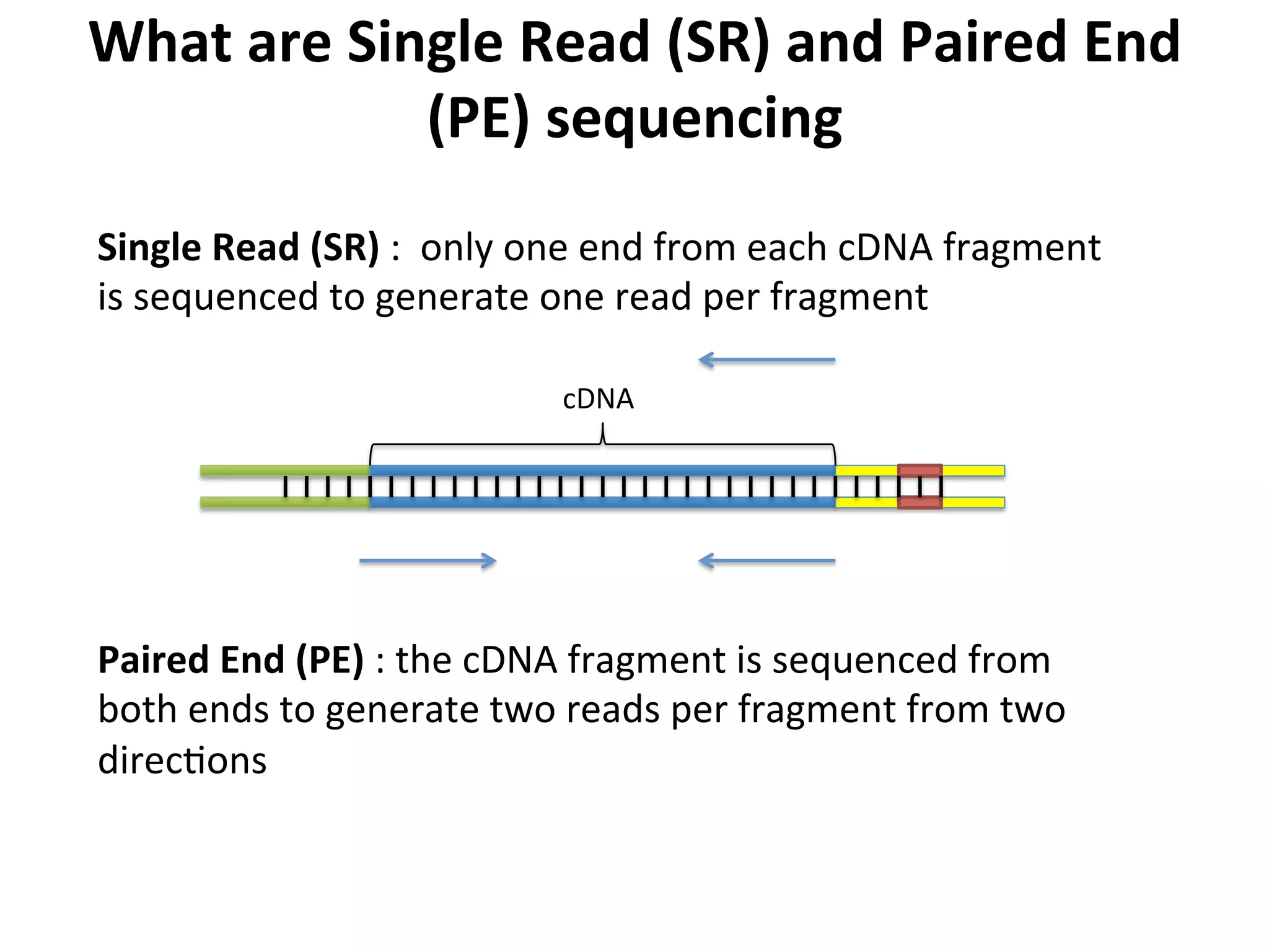 What	
  are	
  Single	
  Read	
  (SR)	
  and	
  Paired	
  End	
  
(PE)	
  sequencing	
  
cDNA	
  
Single	
  Read	
  (SR)	
  :	
  	
  only	
  one	
  end	
  from	
  each	
  cDNA	
  fragment	
  
is	
  sequenced	
  to	
  generate	
  one	
  read	
  per	
  fragment	
  
Paired	
  End	
  (PE)	
  :	
  the	
  cDNA	
  fragment	
  is	
  sequenced	
  from	
  
both	
  ends	
  to	
  generate	
  two	
  reads	
  per	
  fragment	
  from	
  two	
  
direcIons	
  
 