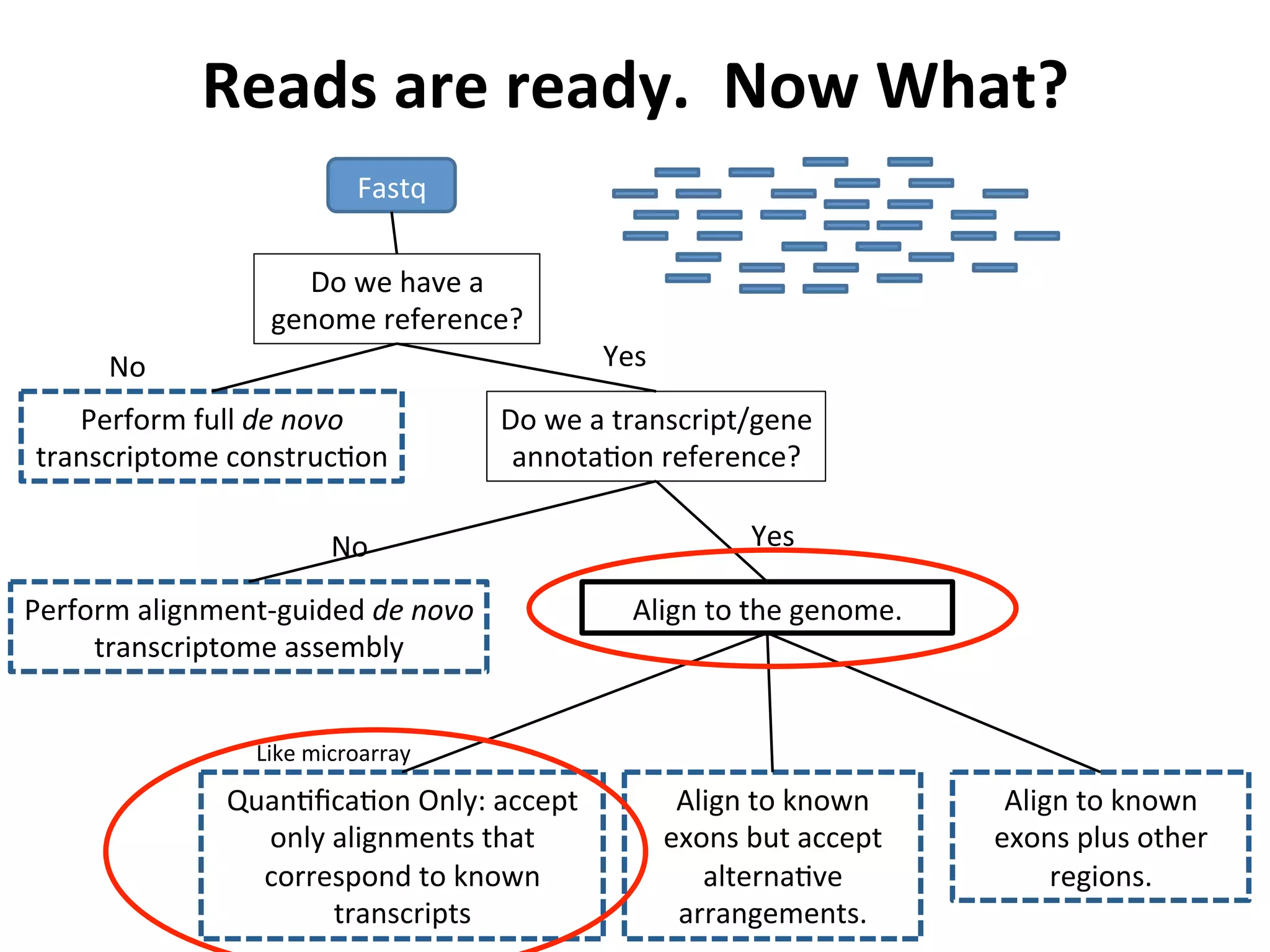 Reads	
  are	
  ready.	
  	
  Now	
  What?	
  
Fastq	
  
Do	
  we	
  have	
  a	
  
genome	
  reference?	
  
Yes	
  
Do	
  we	
  a	
  transcript/gene	
  
annotaIon	
  reference?	
  
Yes	
  No	
  
No	
  
Perform	
  full	
  de	
  novo	
  
transcriptome	
  construcIon	
  
Perform	
  alignment-­‐guided	
  de	
  novo	
  
transcriptome	
  assembly	
  
Align	
  to	
  the	
  genome.	
  
QuanIﬁcaIon	
  Only:	
  accept	
  
only	
  alignments	
  that	
  
correspond	
  to	
  known	
  
transcripts	
  
Align	
  to	
  known	
  
exons	
  but	
  accept	
  
alternaIve	
  
arrangements.	
  
Align	
  to	
  known	
  
exons	
  plus	
  other	
  
regions.	
  
Like	
  microarray	
  
 