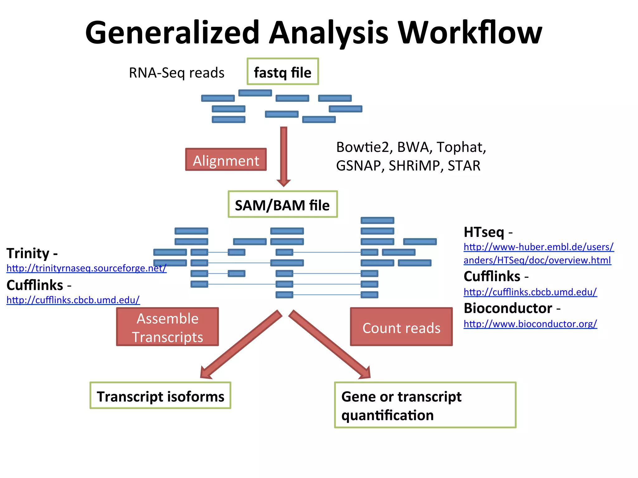 RNA-­‐Seq	
  reads	
  
Alignment	
  
Assemble	
  
Transcripts	
  
fastq	
  ﬁle	
  
SAM/BAM	
  ﬁle	
  
Transcript	
  isoforms	
   Gene	
  or	
  transcript	
  
quanSﬁcaSon	
  
Count	
  reads	
  
HTseq	
  -­‐	
  	
  
h_p://www-­‐huber.embl.de/users/
anders/HTSeq/doc/overview.html	
  
Cuﬄinks	
  -­‐	
  
h_p://cuﬄinks.cbcb.umd.edu/	
  
Bioconductor	
  -­‐	
  
h_p://www.bioconductor.org/	
  
Trinity	
  -­‐	
  
h_p://trinityrnaseq.sourceforge.net/	
  
Cuﬄinks	
  -­‐	
  
h_p://cuﬄinks.cbcb.umd.edu/	
  
Generalized	
  Analysis	
  Workﬂow	
  
BowIe2,	
  BWA,	
  Tophat,	
  	
  
GSNAP,	
  SHRiMP,	
  STAR	
  	
  
 