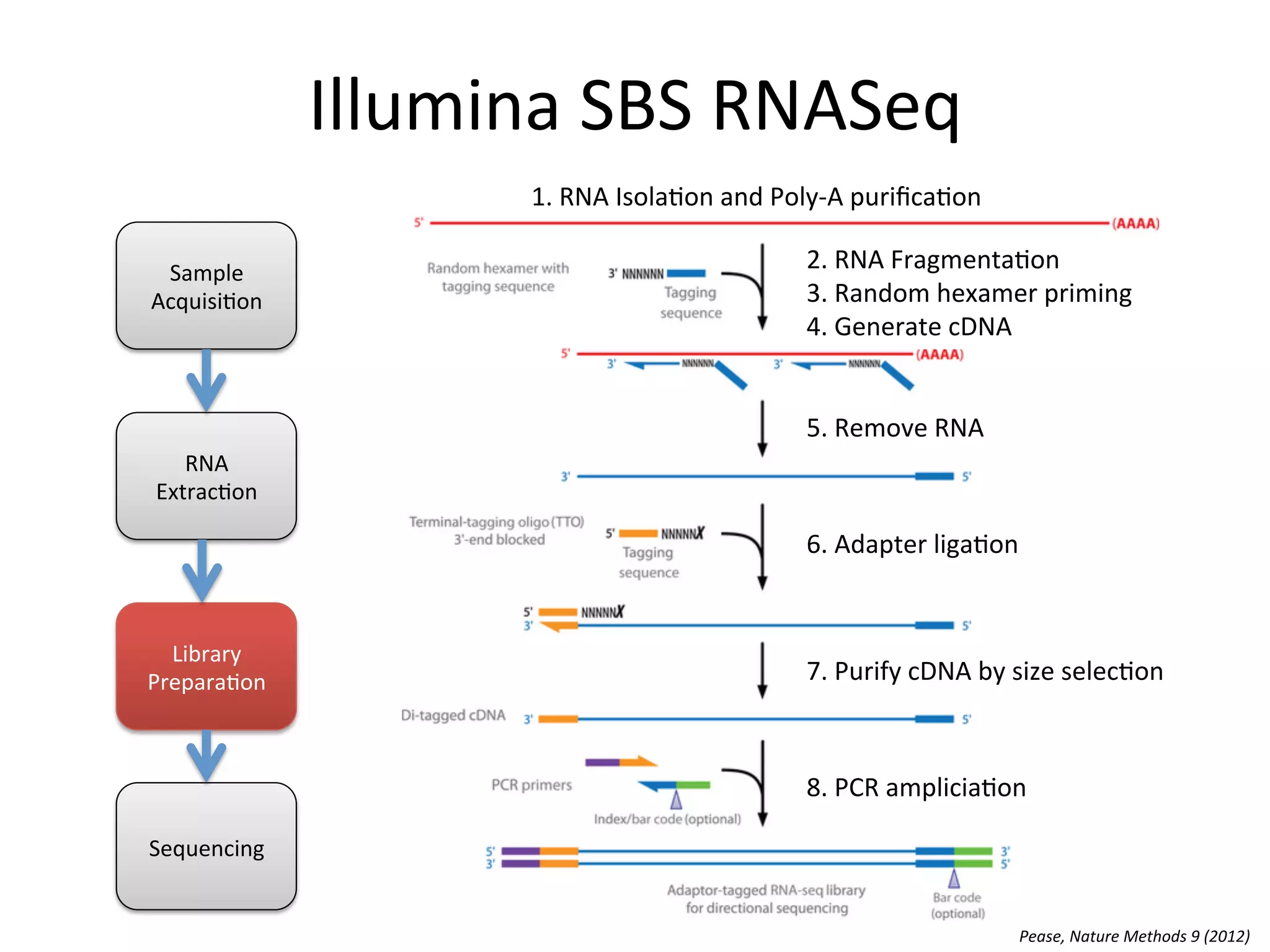 Illumina	
  SBS	
  RNASeq	
  
Sample	
  
Acquisi%on	
  
RNA	
  
Extrac%on	
  
Library	
  
Prepara%on	
  
Sequencing	
  
Pease,	
  Nature	
  Methods	
  9	
  (2012)	
  
1.	
  RNA	
  Isola%on	
  and	
  Poly-­‐A	
  puriﬁca%on	
  
2.	
  RNA	
  Fragmenta%on	
  	
  
3.	
  Random	
  hexamer	
  priming	
  
4.	
  Generate	
  cDNA	
  
5.	
  Remove	
  RNA	
  
6.	
  Adapter	
  liga%on	
  
	
  
7.	
  Purify	
  cDNA	
  by	
  size	
  selec%on	
  	
  
8.	
  PCR	
  amplicia%on	
  
 