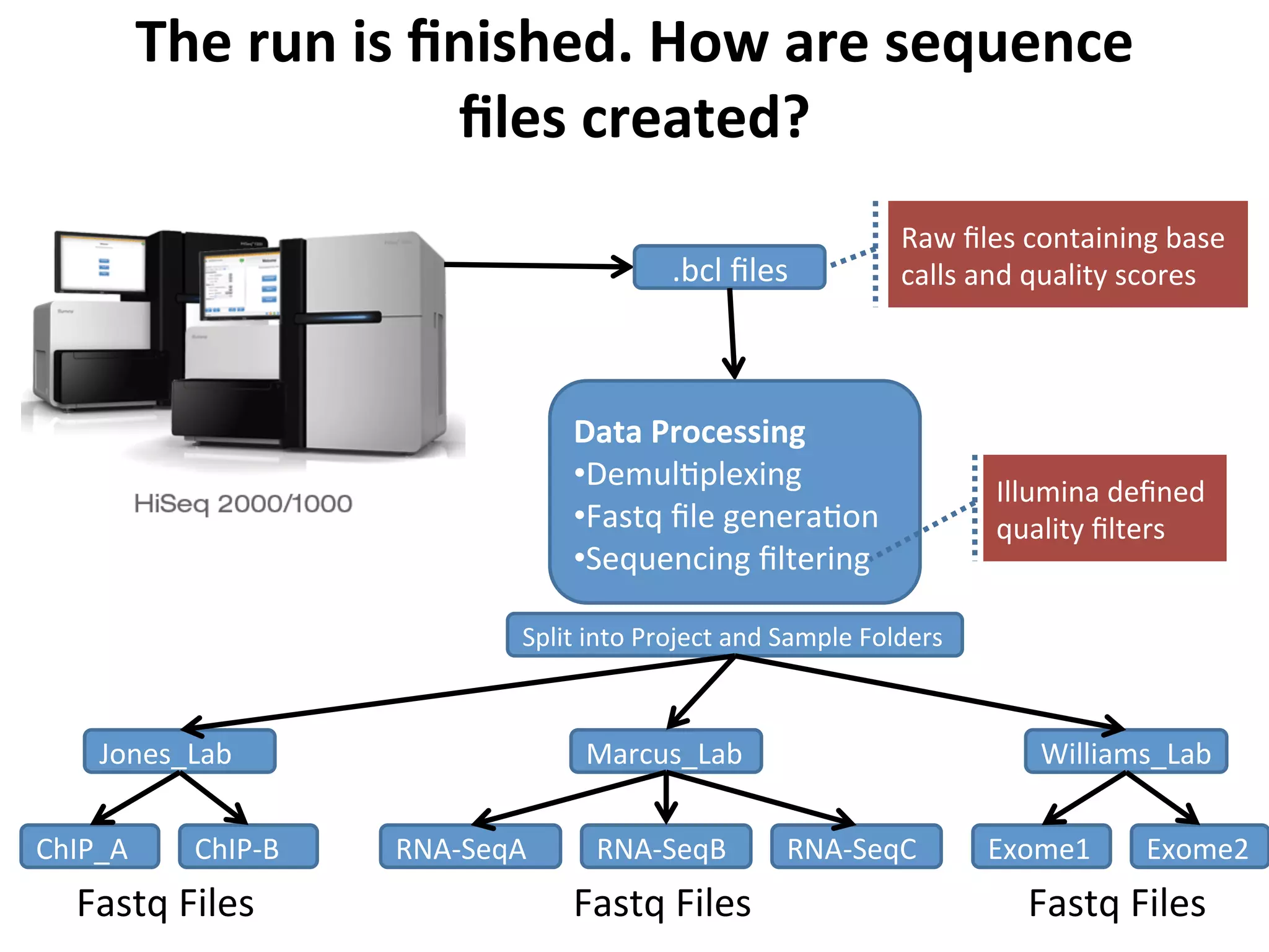 The	
  run	
  is	
  ﬁnished.	
  How	
  are	
  sequence	
  
ﬁles	
  created?	
  
.bcl	
  ﬁles	
  
Data	
  Processing	
  
• Demul%plexing	
  
• Fastq	
  ﬁle	
  genera%on	
  
• Sequencing	
  ﬁltering	
  
Raw	
  ﬁles	
  containing	
  base	
  
calls	
  and	
  quality	
  scores	
  
Illumina	
  deﬁned	
  
quality	
  ﬁlters	
  
Split	
  into	
  Project	
  and	
  Sample	
  Folders	
  
Jones_Lab	
  
ChIP_A	
   ChIP-­‐B	
  
Marcus_Lab	
  
RNA-­‐SeqA	
   RNA-­‐SeqB	
   RNA-­‐SeqC	
  
Williams_Lab	
  
Exome1	
   Exome2	
  
Fastq	
  Files	
   Fastq	
  Files	
   Fastq	
  Files	
  
 
