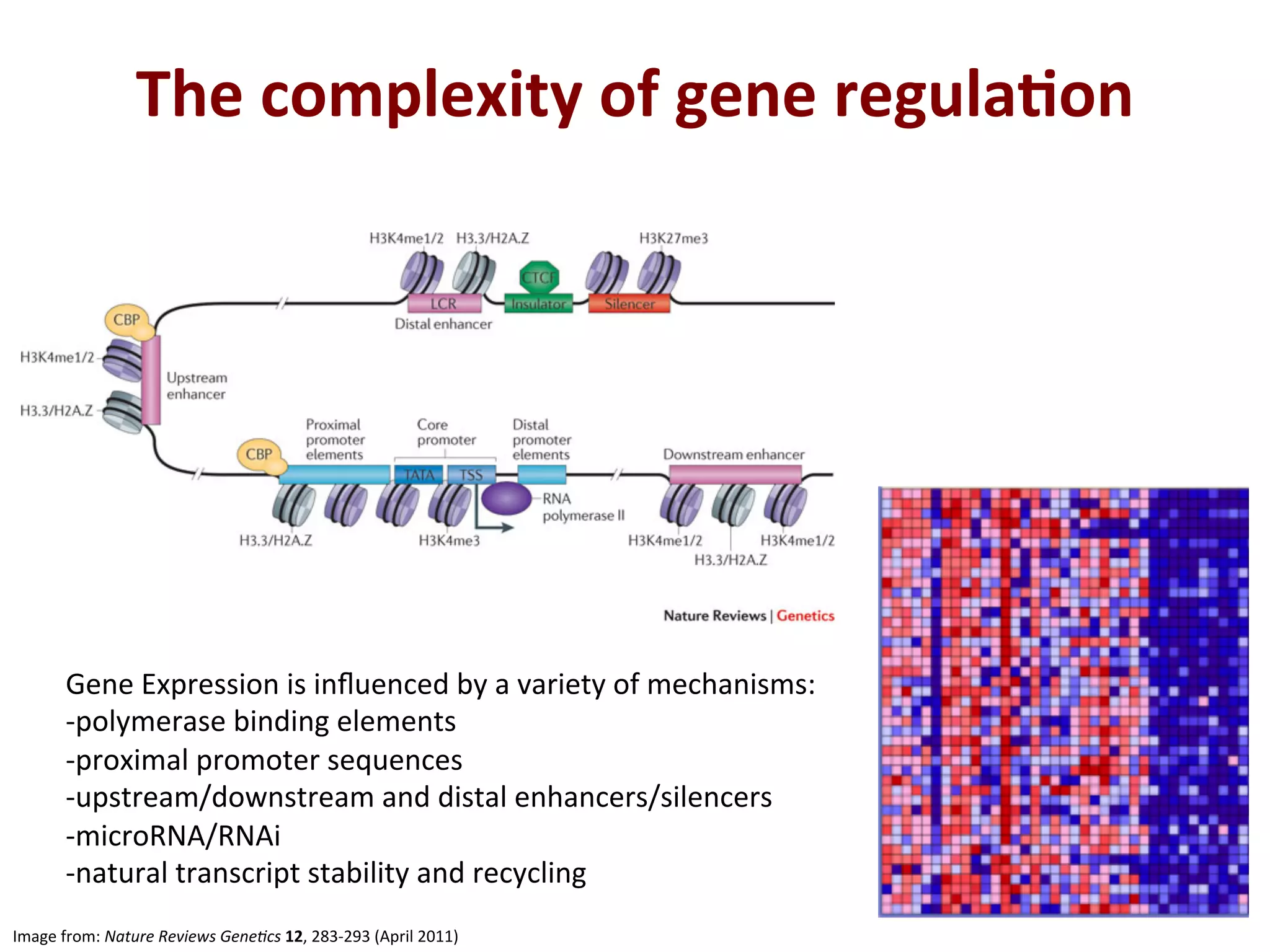 The	
  complexity	
  of	
  gene	
  regula+on	
  
Image	
  from:	
  Nature	
  Reviews	
  Gene/cs	
  12,	
  283-­‐293	
  (April	
  2011)	
  
Gene	
  Expression	
  is	
  inﬂuenced	
  by	
  a	
  variety	
  of	
  mechanisms:	
  
-­‐polymerase	
  binding	
  elements	
  
-­‐proximal	
  promoter	
  sequences	
  
-­‐upstream/downstream	
  and	
  distal	
  enhancers/silencers	
  
-­‐microRNA/RNAi	
  
-­‐natural	
  transcript	
  stability	
  and	
  recycling	
  
	
  
 