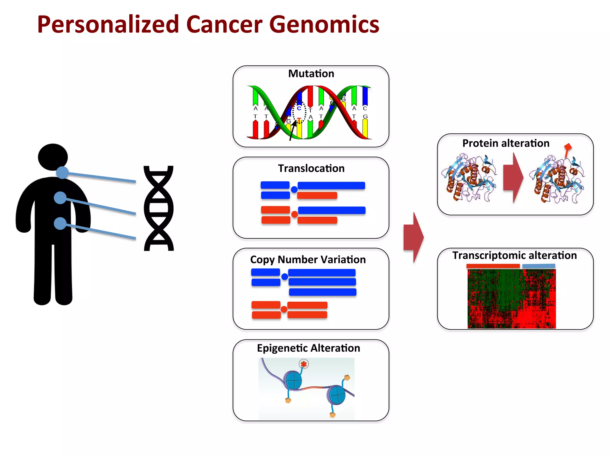Personalized	
  Cancer	
  Genomics	
  	
  
Muta+on	
  
Transloca+on	
  
Copy	
  Number	
  Varia+on	
  
Epigene+c	
  Altera+on	
  
Protein	
  altera+on	
  
Transcriptomic	
  altera+on	
  
T	
  
*	
  
 