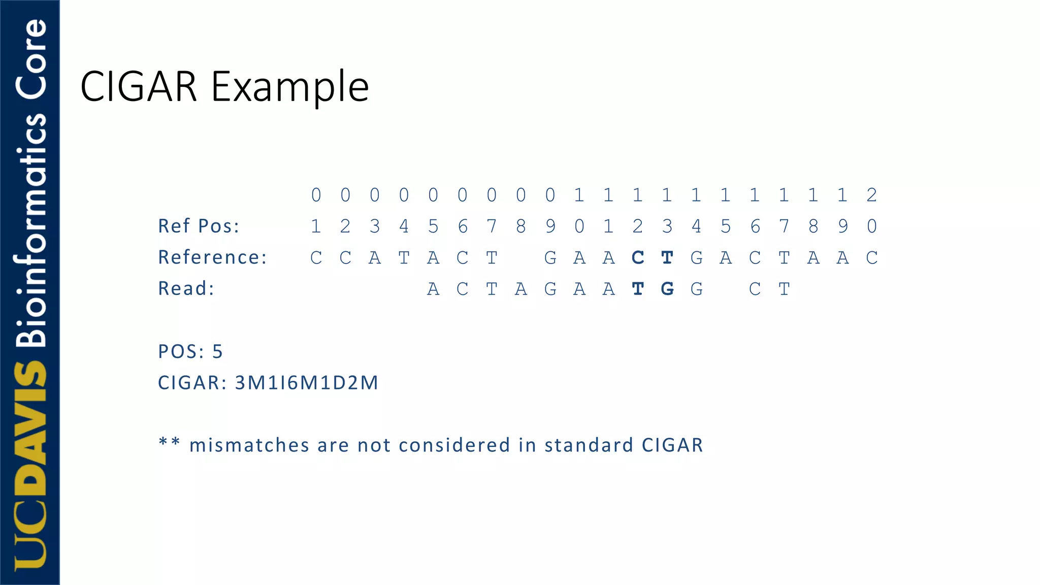 CIGAR Example
0 0 0 0 0 0 0 0 0 1 1 1 1 1 1 1 1 1 1 2
Ref Pos: 1 2 3 4 5 6 7 8 9 0 1 2 3 4 5 6 7 8 9 0
Reference: C C A T A C T G A A C T G A C T A A C
Read: A C T A G A A T G G C T
POS: 5
CIGAR: 3M1I6M1D2M
** mismatches are not considered in standard CIGAR
 