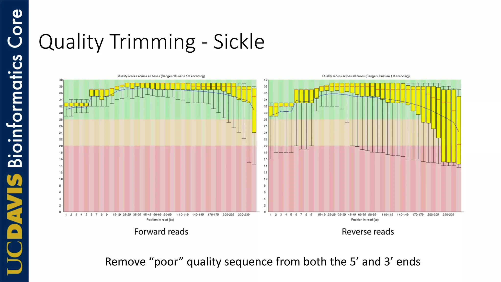 Quality Trimming - Sickle
Remove “poor” quality sequence from both the 5’ and 3’ ends
 