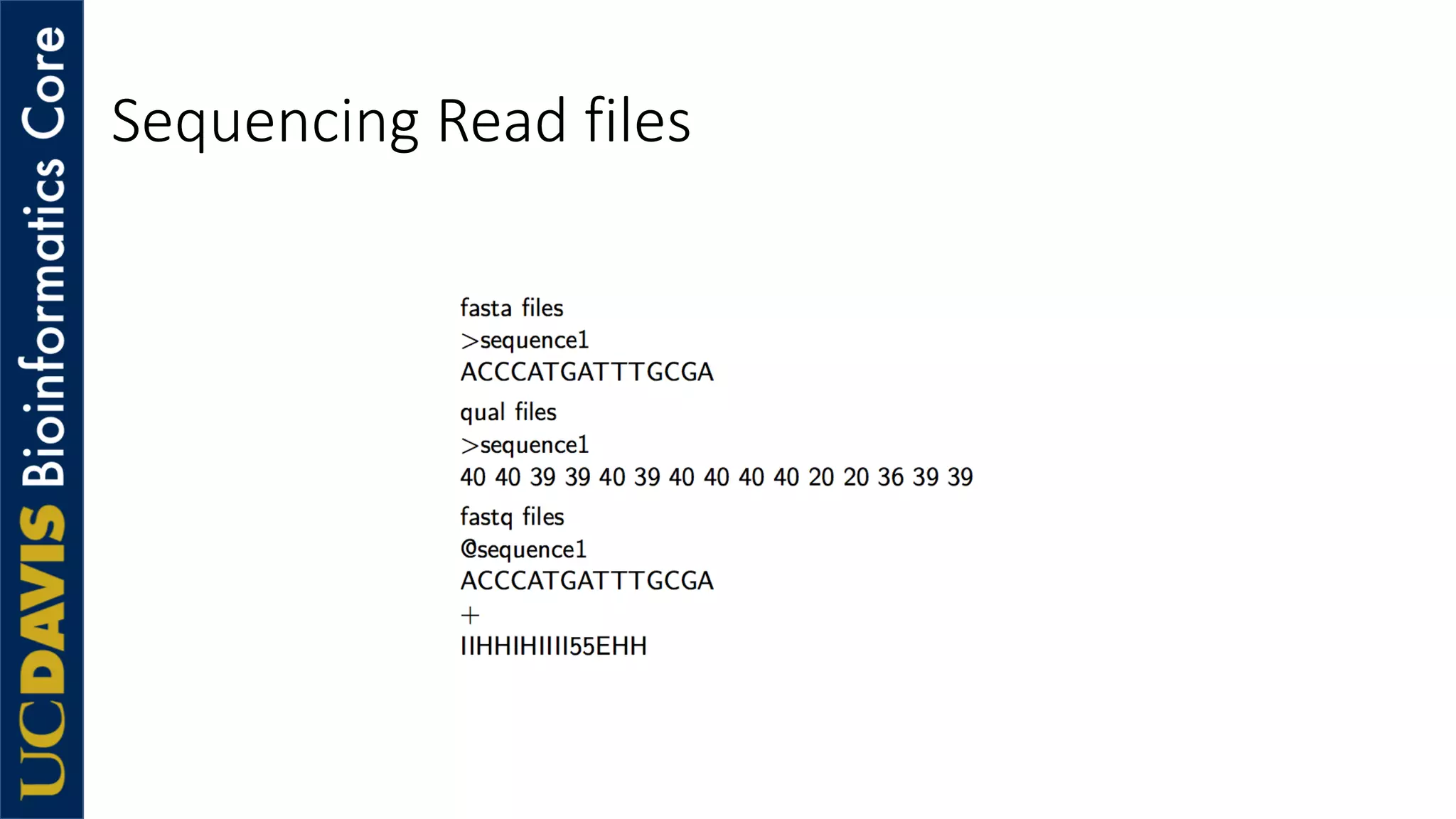 Sequencing Read files
 