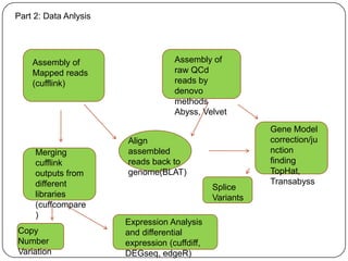 Part 2: Data Anlysis




    Assembly of                     Assembly of
    Mapped reads                    raw QCd
    (cufflink)                      reads by
                                    denovo
                                    methods
                                    Abyss, Velvet

                                                          Gene Model
                       Align                              correction/ju
     Merging           assembled                          nction
     cufflink          reads back to                      finding
     outputs from      genome(BLAT)                       TopHat,
     different                                            Transabyss
                                               Splice
     libraries                                 Variants
     (cuffcompare
     )
                       Expression Analysis
Copy                   and differential
Number                 expression (cuffdiff,
Variation              DEGseq, edgeR)
 