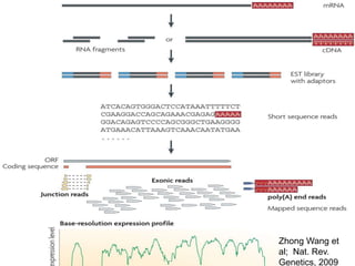Zhong Wang et
al; Nat. Rev.
Genetics, 2009
 