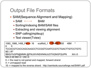 Output File Formats
     SAM(Sequence Alignment and Mapping)
        SAM              BAM
        Sorting/indexing BAM/SAM files
        Extracting and viewing alignment
        SNP calling(mpileup)
        Text viewer(Tview)

1082_1988_1406_F3          16    scaffold_1   31452 255 48M *
0     0
TCCACGTCACCAGCAAGCCTCCGGTCAATCCGTCTGACTTGTCCTGTC
8E/./:R*
$BIG/!%GP9@MMK;@FMJIXVNSWNNUUOTXQNGFQUPN                        XA:i:0
MD:Z:48 NM:i:0 CM:i:5
0 -> the read is not paired and mapped, forward strand
4 -> unmapped read
16 -> mapped to the reverse strand http://samtools.sourceforge.net/SAM1.pdf
 