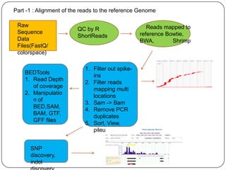 Part -1 : Alignment of the reads to the reference Genome

 Raw                                                  Reads mapped to
                         QC by R
 Sequence                                          reference Bowtie,
                         ShortReads
 Data                                              BWA,        Shrimp
 Files(FastQ/
 colorspace)

                            1. Filter out spike-
    BEDTools
                               ins
    1. Read Depth
                            2. Filter reads
       of coverage
                               mapping multi
    2. Manipulatio
                               locations
       n of
                            3. Sam -> Bam
       BED,SAM,
                            4. Remove PCR
       BAM, GTF,
                               duplicates
       GFF files
                            5. Sort, View,
                               pileup, merge


      SNP
      discovery,
      indel
 