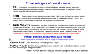 Three subtypes of breast cancer
1. ER+ Positive for the estrogen receptor, treatment includes hormone therapy and drug
treatments targeting the estrogen receptor. The most common subtype of diagnosed breast
cancer. Positive outlook in the short term.
1. HER2+ Overexpress human epidermal growth factor, HER2/neu, a growth-promoting protein.
This type of cancer tends to be more aggressive than ER+ or PR+ breast cancer. Cannot be
treated with hormone therapy, but there are targeted drug treatments.
1. Triple Negative Negative for estrogen receptor and progesterone receptor, and does not
overexpress HER2/neu. Most cancers with mutated BRCA1 genes are triple negative. This type
responds to surgery/chemotherapy, but tends to recur later. No targeted therapy, although some
treatments in development. Survival rates lower than for other breast cancer subtypes. This
cancer type occurs in 15-20% of those diagnosed with breast cancer in the United States.
Patient Derived Xenograft mouse models
each represents a different way of being immunocompromisedEx:
Athymic Nude: Lacks the thymus, unable to produce T-cells.
NOD/CB17 SCID: Combined immunodeficiency, no mature T cells or B cells. Functional natural
killer cells, macrophages, and granulocytes.
Tumor = human, Stroma = mouse (original transplant had human stroma)
 