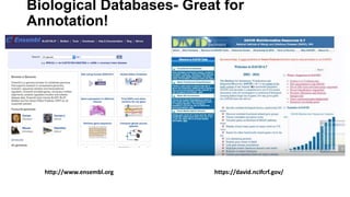 Biological Databases- Great for
Annotation!
https://david.ncifcrf.gov/http://www.ensembl.org
 
