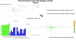 PCA of Human Tumor By Samples and By
Genes
Link:https://pinebio.shinyapps.io/app_genes/
Link: https://pinebio.shinyapps.io/app_samples/
https://pinebio.shinyapps.io/app_samples/
PC1:22.16%, PC2:9.22%
 