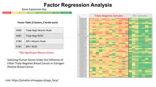 Factor Regression Analysis
A0B0 Triple Neg/ Athymic Nude
A0B1 Triple Neg-/SCID
A1B0 ER+/ Athymic Nude
A1B1 ER+/ SCID
Factor Table (2 factors, 2 levels each)
Triple Negative Samples ER+ Samples
Selecting Human Genes Under the Influence of
Either Triple Negative Breast Cancer or Estrogen
Positive Breast Cancer
Gene Expression Key
*No Significant Mouse Genes
Link: https://pinebio.shinyapps.io/app_faca/
 