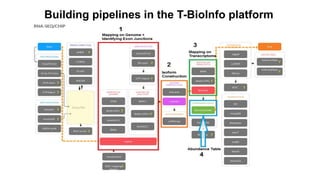 Building pipelines in the T-BioInfo platform
 