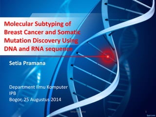 Molecular Subtyping of Breast Cancer and Somatic Mutation Discovery ...