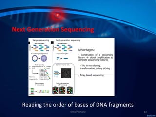 Molecular Subtyping of Breast Cancer and Somatic Mutation Discovery ...