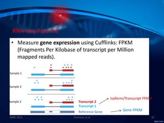 Molecular Subtyping of Breast Cancer and Somatic Mutation Discovery ...