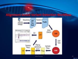 Molecular Subtyping of Breast Cancer and Somatic Mutation Discovery ...