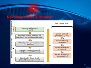 Molecular Subtyping of Breast Cancer and Somatic Mutation Discovery ...