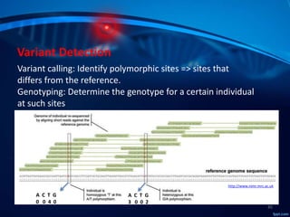 Molecular Subtyping of Breast Cancer and Somatic Mutation Discovery ...