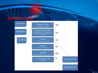Molecular Subtyping of Breast Cancer and Somatic Mutation Discovery ...