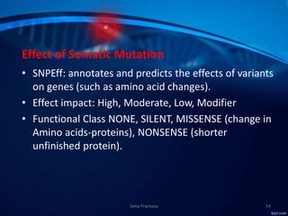 Molecular Subtyping of Breast Cancer and Somatic Mutation Discovery ...