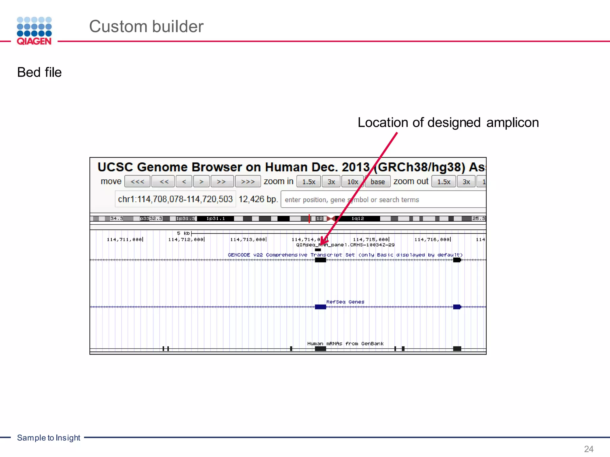 Sample to Insight
Custom builder
24
Bed file
Location of designed amplicon
 