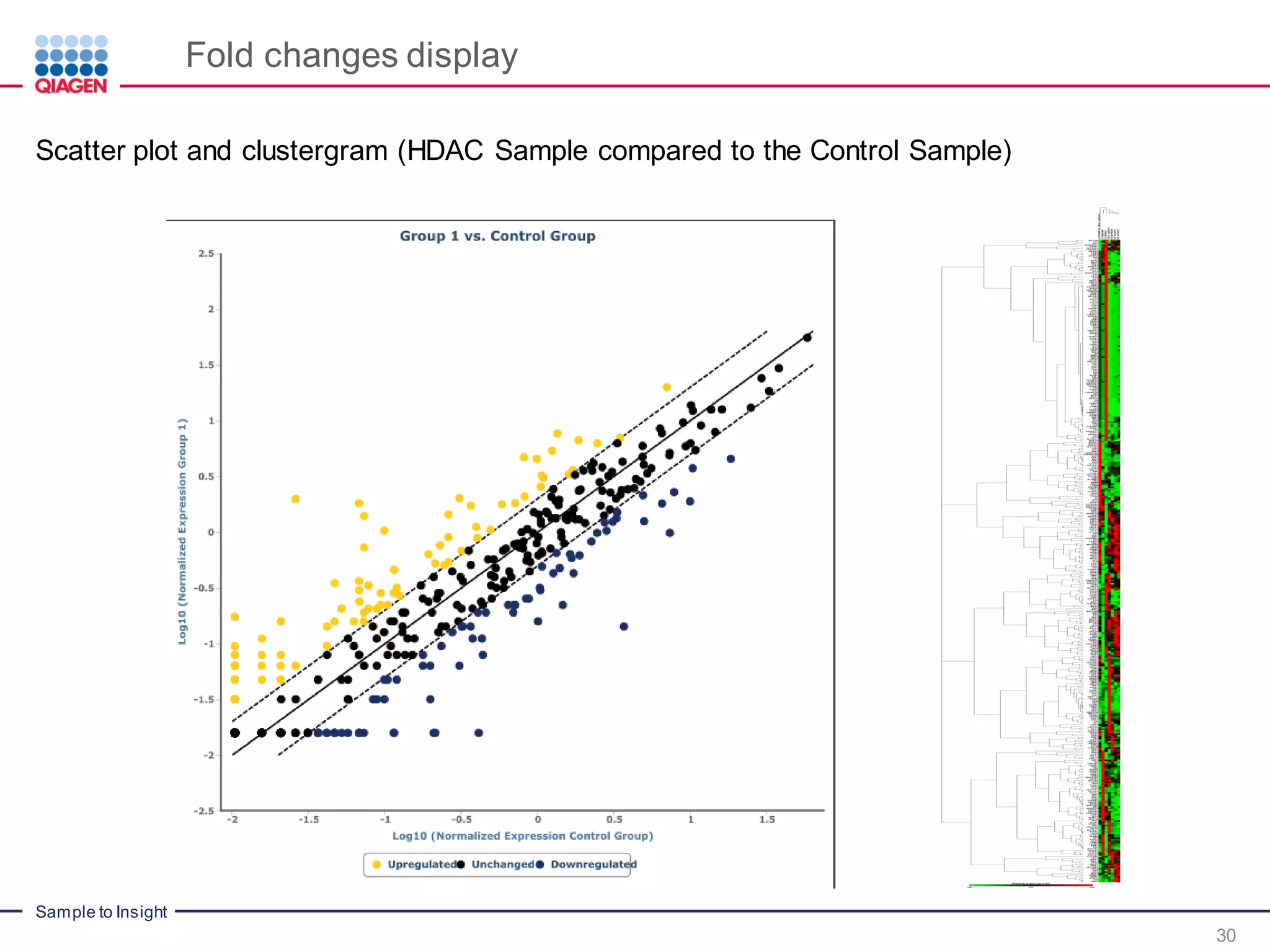 Sample to Insight
Fold changes display
30
Scatter plot and clustergram (HDAC Sample compared to the Control Sample)
 