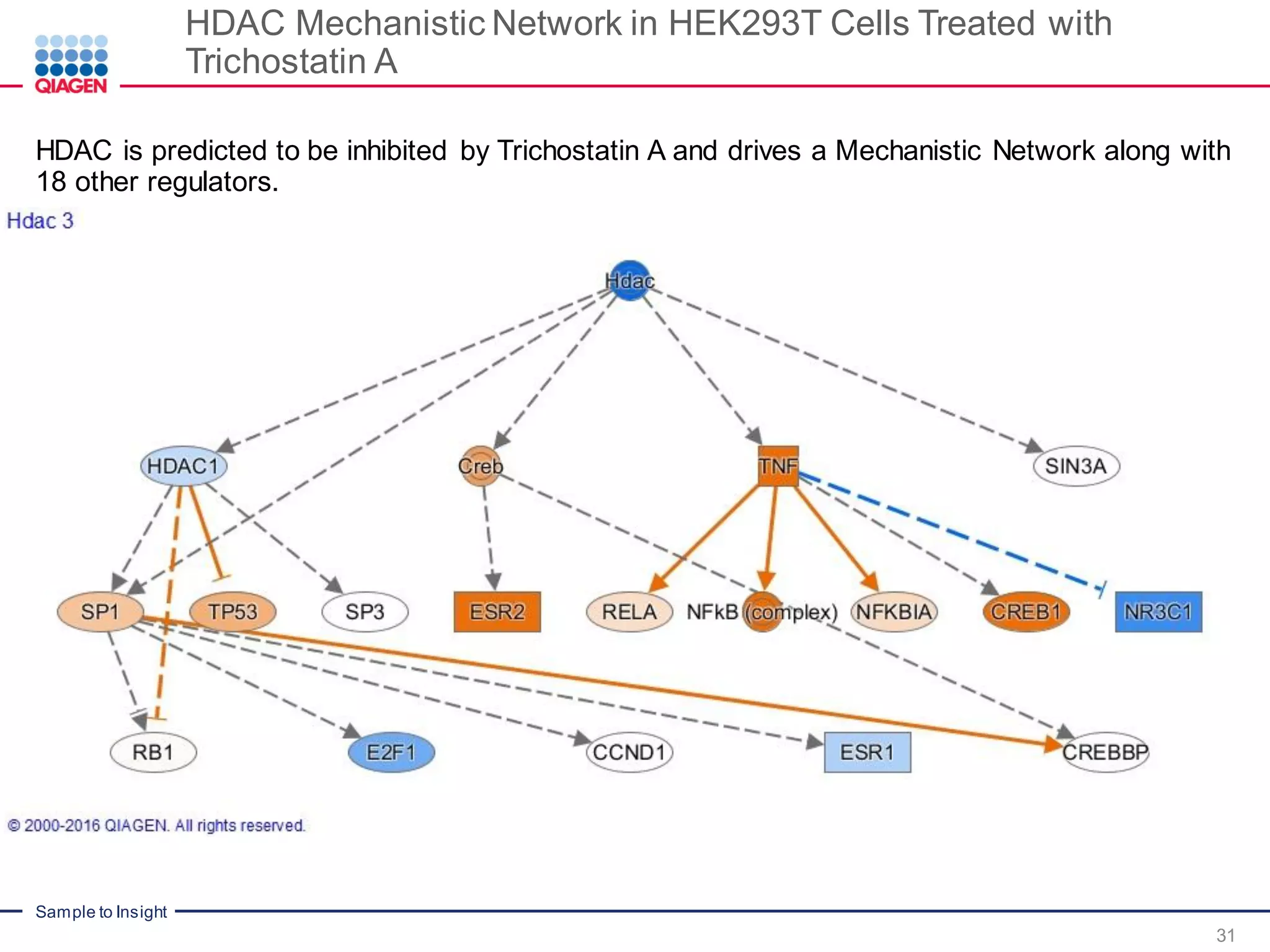Sample to Insight
HDAC Mechanistic Network in HEK293T Cells Treated with
Trichostatin A
31
HDAC is predicted to be inhibited by Trichostatin A and drives a Mechanistic Network along with
18 other regulators.
 