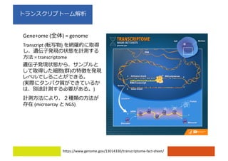 https://www.genome.gov/13014330/transcriptome-fact-sheet/
Gene+ome ( ) = genome
Transcript ( )
= transcriptome
(microarray NGS)
( )
(
)
 