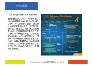 PCR
https://www.genome.gov/10000207/pcr-fact-sheet/
PCR (Polymerase Chain Reaction)
( ) DNA
DNA (DNA )
DNA
( )
DNA
DNA
DNA
DNA
 