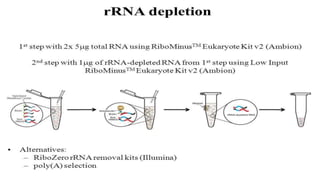 R na sequencing and its methods | PPTX