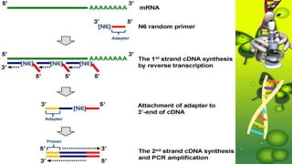 R na sequencing and its methods | PPTX