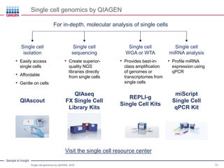 RNA Sequencing from Single Cell | PDF