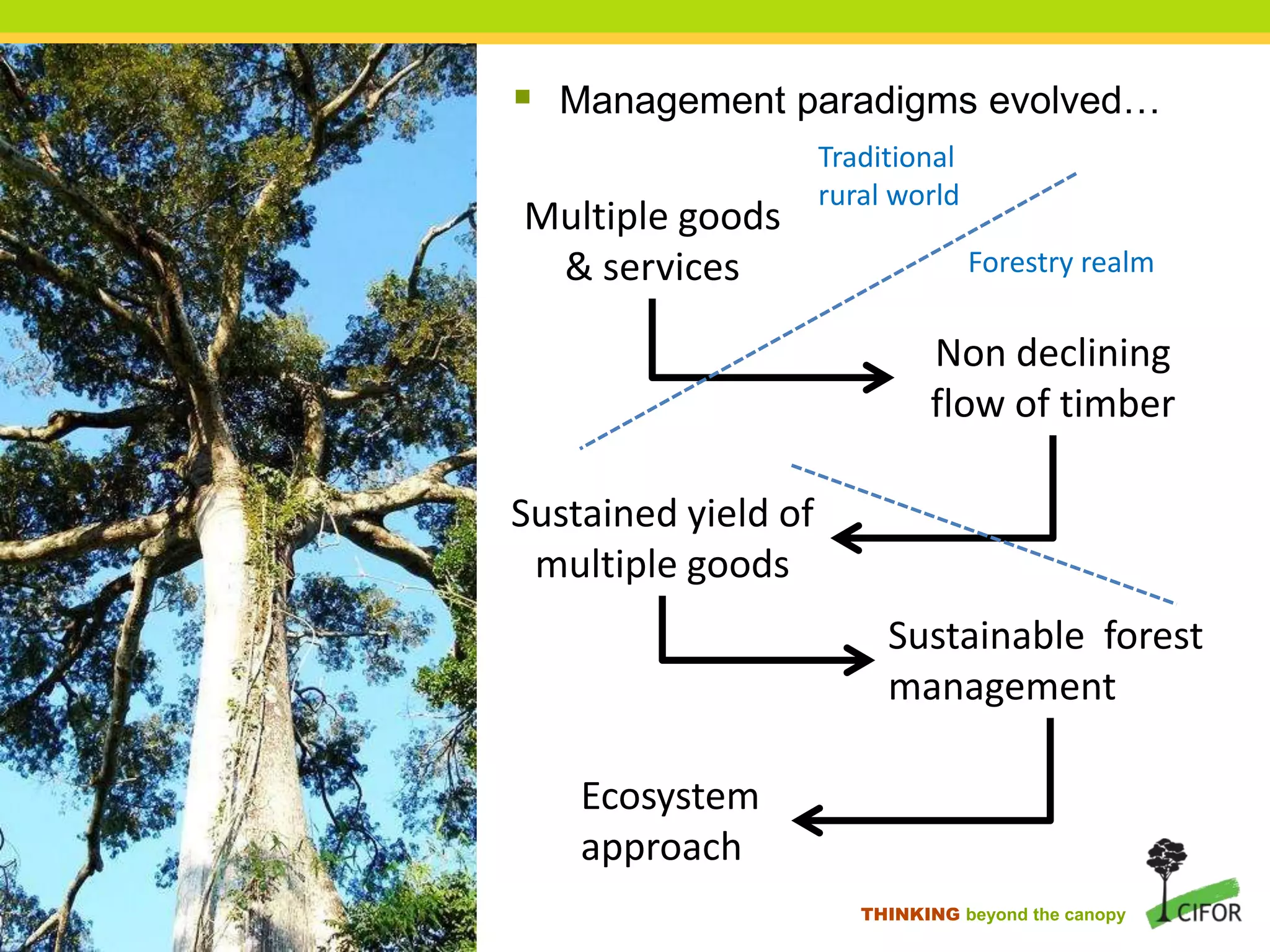 Sustainable forest management, biodiversity and carbon: The case for ...